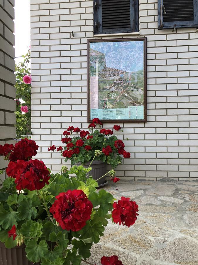 Apartmani Berghaus زلاتيبور المظهر الخارجي الصورة